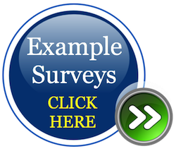 example survey